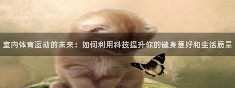 企鹅体育排球直播：室内体育运动的未来：如何利用科技提升你的健身爱好和生活质量