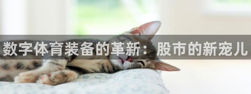 企鹅体育拼音怎么写：数字体育装备的革新：股市的新宠儿