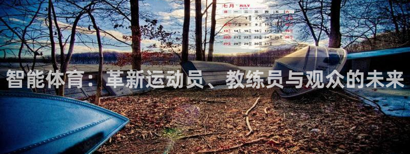 企鹅体育可以看nba吗：智能体育：革新运动员、教练员与观众的未来
