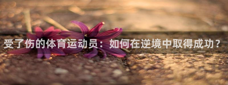 企鹅体育鹅蛋有什么用：受了伤的体育运动员：如何在逆境中取得成功？