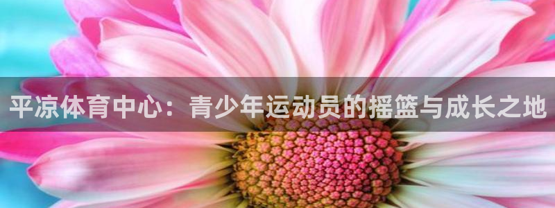 企鹅体育：平凉体育中心：青少年运动员的摇篮与成长之地
