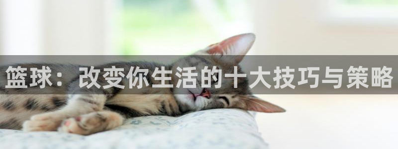 企鹅体育鹅蛋是干嘛的：篮球：改变你生活的十大技巧与策略