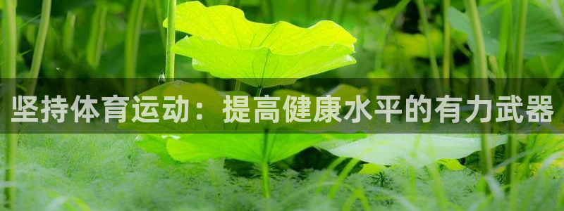企鹅体育f1：坚持体育运动：提高健康水平的有力武器