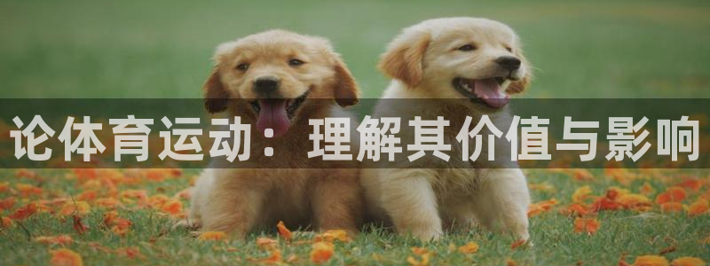 企鹅体育tv：论体育运动：理解其价值与影响